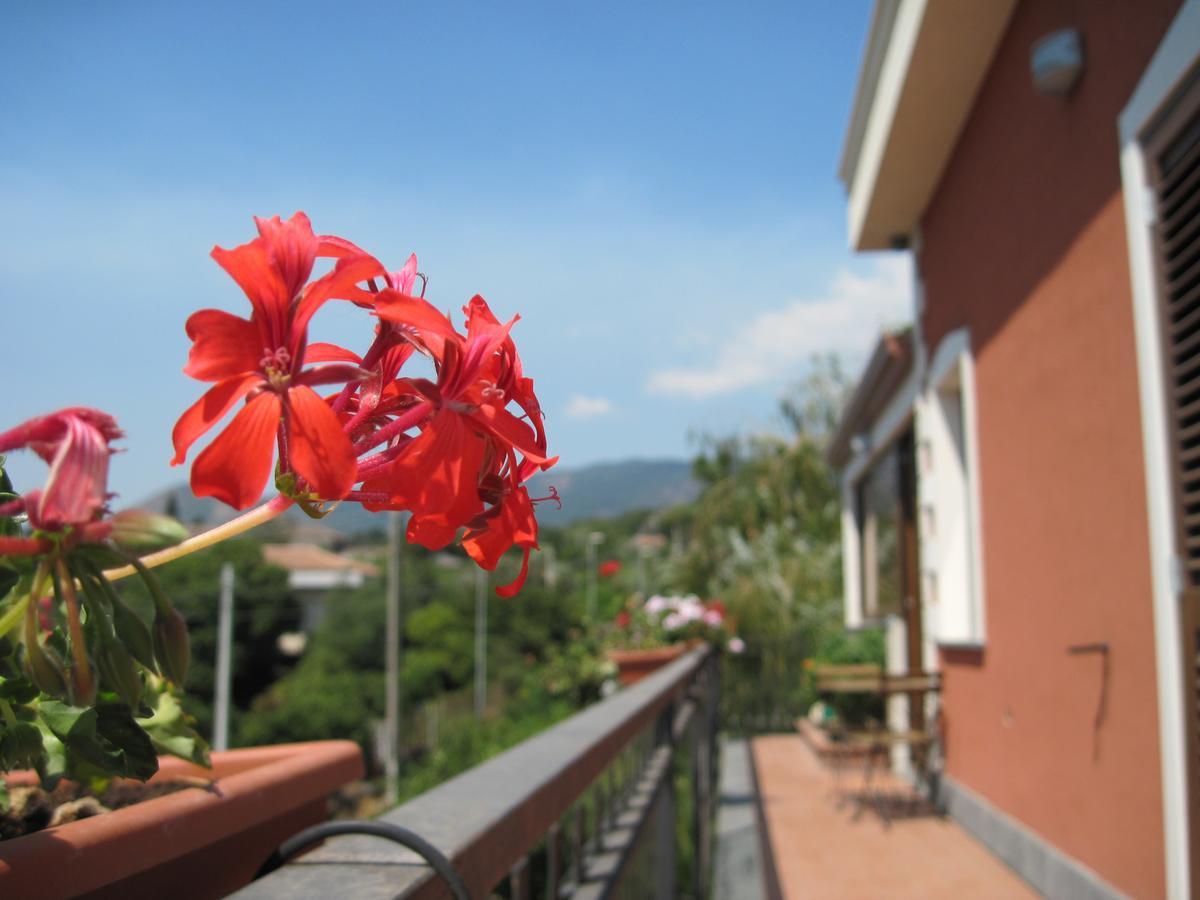 Bed and Breakfast Anthea Dell' Etna Санта-Венерина Экстерьер фото